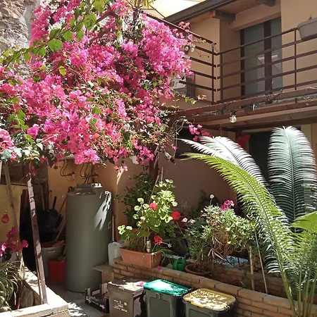 Maison d'hôtes Mizzicahome Solemare