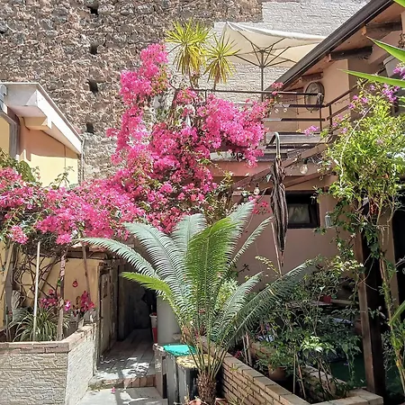 Mizzicahome Solemare * Katania